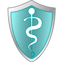 health care shield icon